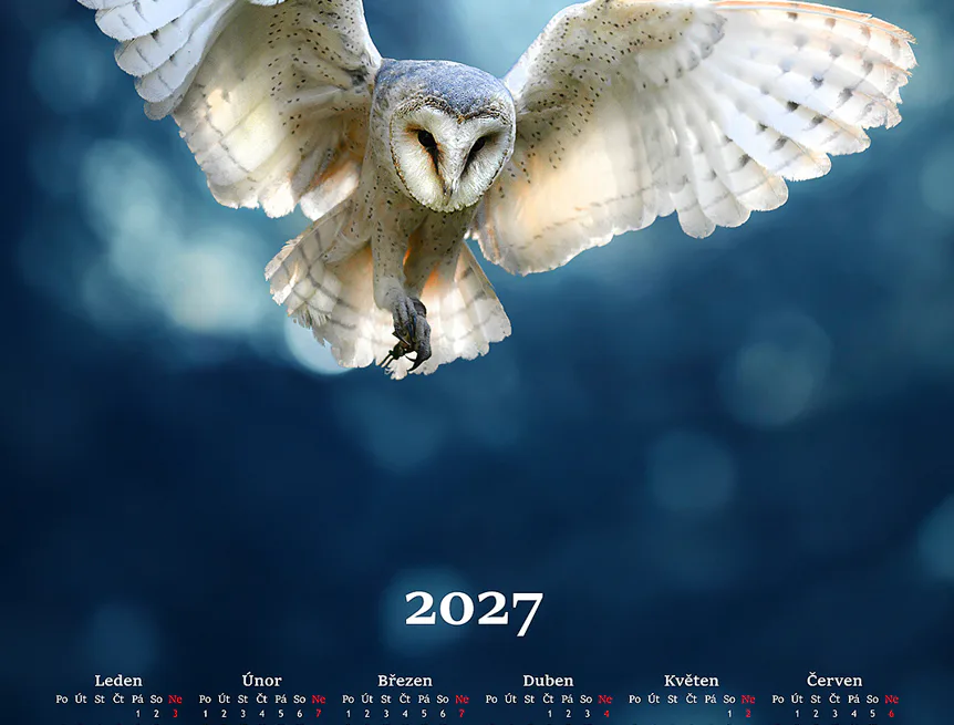 Kuchyňské utěrky Kalendář Sova 2027