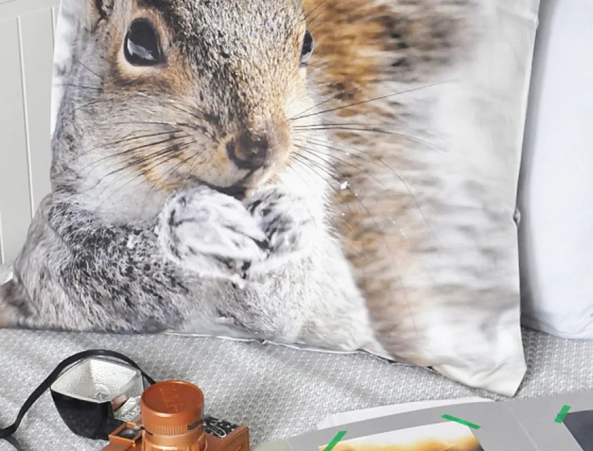 Dekorační povlak Squirrel