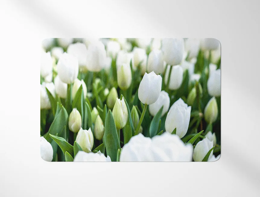 Prostírání Bílé tulipány
