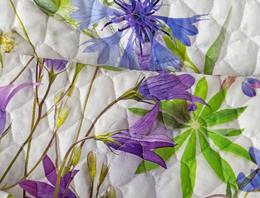 Přehoz Bluebell